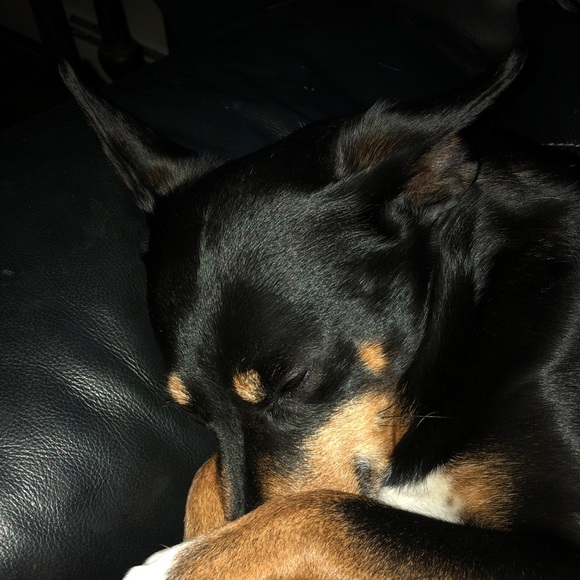 Meet your Posher, Kimberly - Picture 2 of 3